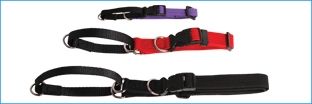 Martingale Cotton Webbing Collar