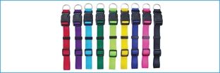 Nylon Adjustable Dog Collar