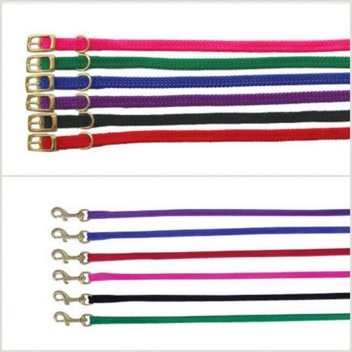 Beau Pet Nylon Puppy collars and Leads