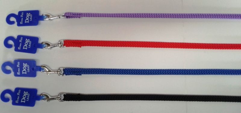 Single Nylon Lead with Snap Hook 10mm wide 60cm - 180cm long