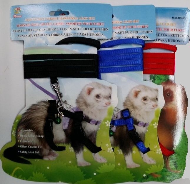 Ferret Nylon Harness & Lead Set