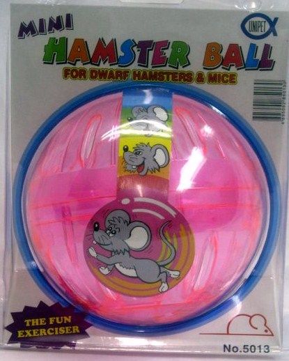 Plastic Hamster Ball