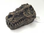 Crocodile Head aerated 115mm